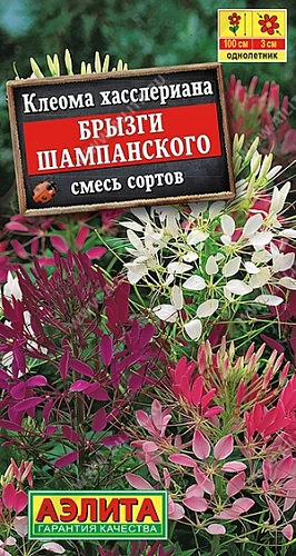 Клеома Брызги шампанского, смесь сортов 0,3 г (АЭЛИТА) Клеома Брызги шампанского, смесь сортов 0,3 г (АЭЛИТА)