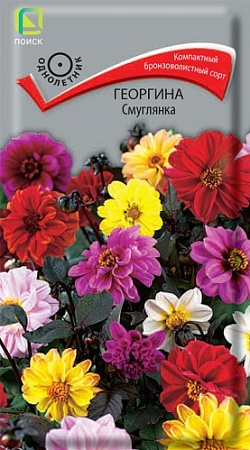 Георгина Смуглянка, 0,2 г (Поиск)