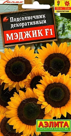 Подсолнечник декоративный Мэджик F1, 5 шт (АЭЛИТА)