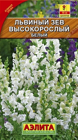 Львиный зев Высокорослый белый 0,1 г