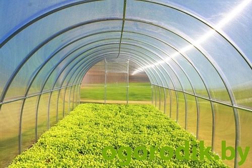 Теплица "Титан" 40x20, 4 м - шаг 67 см (Агросфера) Теплица "Титан" 40x20, 4 м - шаг 67 см (Агросфера)