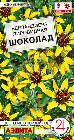 Берландиера Шоколад, 5 шт (Аэлита)