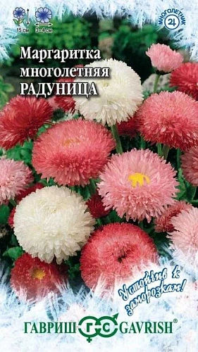 Маргаритка Радуница многолетник, смесь 0,05 г (Гавриш) Маргаритка Радуница многолетник, смесь 0,05 г (Гавриш)
