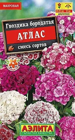 Гвоздика Атлас турецкая махровая, смесь 0,3 г (АЭЛИТА)