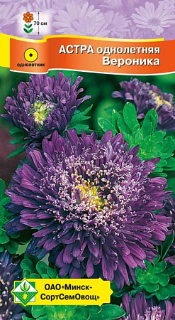 Астра Принцесса Вероника, 0,3 г (МССО)
