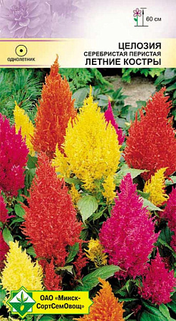 Целозия перистая Летние костры, 0,2 г (МССО) Целозия перистая Летние костры, 0,2 г (МССО)