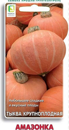 Тыква Амазонка крупноплодная, 10 шт (Поиск)