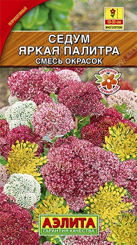 Седум Яркая палитра 0,03 г (АЭЛИТА) Седум Яркая палитра 0,03 г (АЭЛИТА)