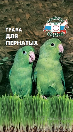 Трава для пернатых, 10 г