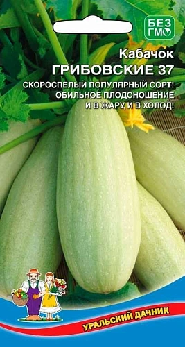 Кабачок Грибовские 37 (УД) Кабачок Грибовские 37 (УД)