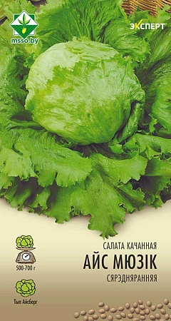 Салат Айс Мюзик кочанный, 20 шт (Эксперт) (МССО)