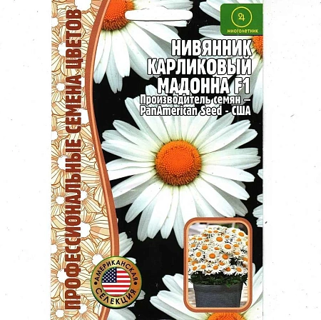 Нивянник карликовый Мадонна F1 PanAmerican Seed многолетник, 5 шт (Ред.сем)