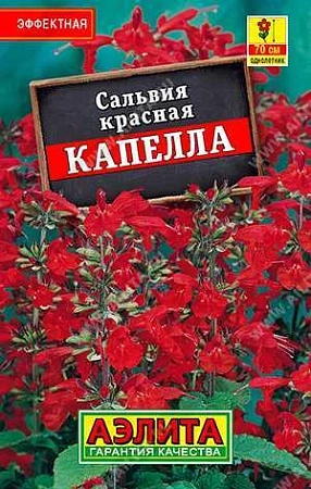 Сальвия красная Капелла 0,1 г (АЭЛИТА)