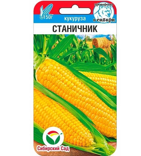 Кукуруза Станичник, 6 шт (Сиб Сад) Кукуруза Станичник, 6 шт (Сиб Сад)