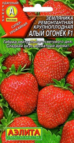 Земляника Алый огонек F1 ремонтантная крупноплодная, 10 шт (Аэлита) Земляника Алый огонек F1 ремонтантная крупноплодная, 10 шт (Аэлита)