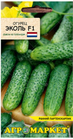 Огурец Эколь F1, 7 шт (Агромаркет)