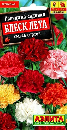 Гвоздика садовая Блеск лета, смесь окрасок 0,1 г (АЭЛИТА)