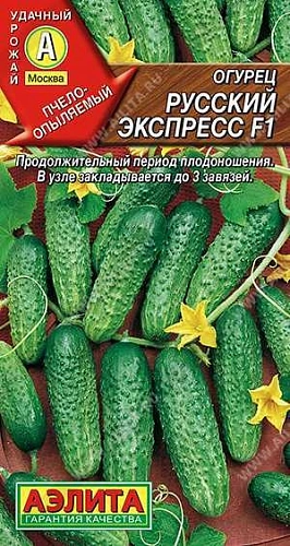 Огурец Русский экспресс F1, 10 шт (АЭЛИТА) Огурец Русский экспресс F1, 10 шт (АЭЛИТА)