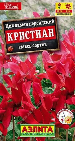 Цикламен персидский Кристиан, смесь сортов 3 шт (АЭЛИТА)