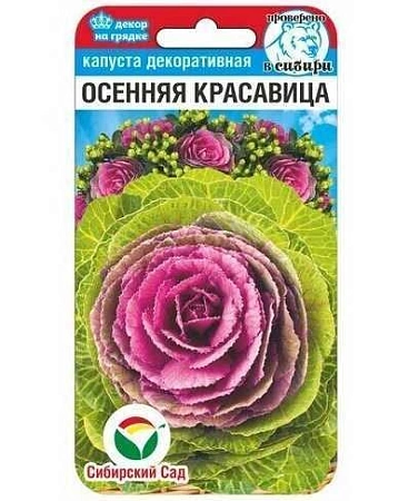 Капуста декор Осенняя красавица 10шт (Сиб Сад) Капуста декор Осенняя красавица 10шт (Сиб Сад)