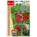 Гейхера Coral forest кроваво-красная Syngenta, 7 шт (Ред сем) Гейхера Coral forest кроваво-красная Syngenta, 7 шт (Ред сем)