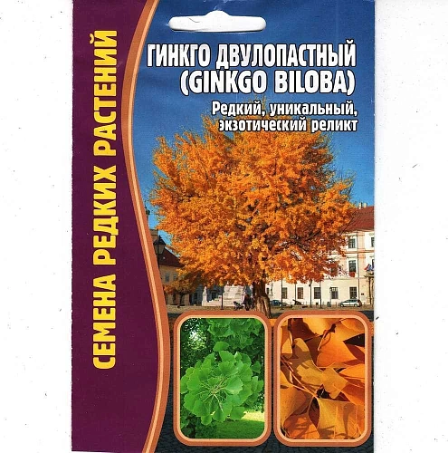 Гинкго двулопастный, 3 шт (Ред сем) Гинкго двулопастный, 3 шт (Ред сем)
