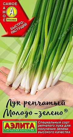 Лук репчатый Молодо-зелено 0,5 г (АЭЛИТА) Лук репчатый Молодо-зелено 0,5 г (АЭЛИТА)