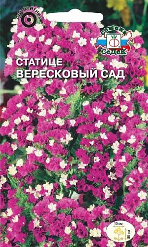 Статице Вересковый сад 0,2 г (СеДек) Статице Вересковый сад 0,2 г (СеДек)