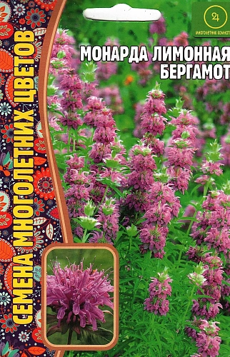 Монарда лимонная Бергамот, 100 шт (Ред сем) Монарда лимонная Бергамот, 100 шт (Ред сем)