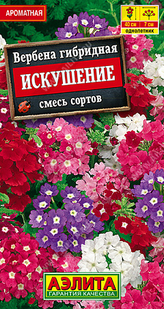 Вербена Искушение, смесь сортов 40 шт (Аэлита)