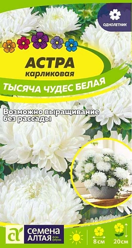 Астра Тысяча чудес белая карликовая 0,2 г Астра Тысяча чудес белая карликовая 0,2 г
