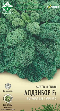 Капуста листовая Олденбор F1, 12 шт (МССО) Капуста листовая Олденбор F1, 12 шт (МССО)