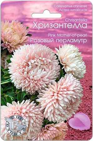 Астра Хризантелла Розовый перламутр, 30 шт (Биотехника)