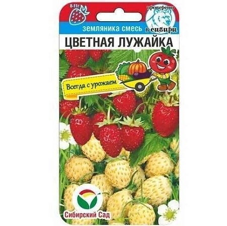 Земляника Цветная лужайка, 10 шт смесь (Сиб Сад)