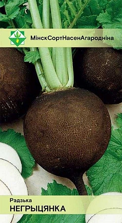 Редька Негритянка 2 г (МССО)