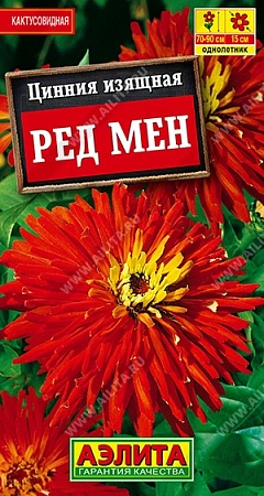 Цинния Ред мен кактусовидная 0,3 г (АЭЛИТА)