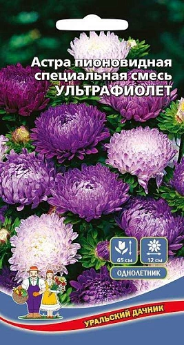 Астра Ультрафиолет, смесь (УД) Астра Ультрафиолет, смесь (УД)