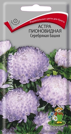 Астра пионовидная Серебряная башня 0,3 г (Поиск)