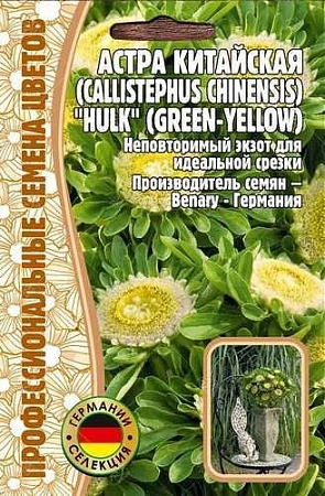 Астра Hulk green-yellow китайская однолетник, 5 шт (Ред.Сем)