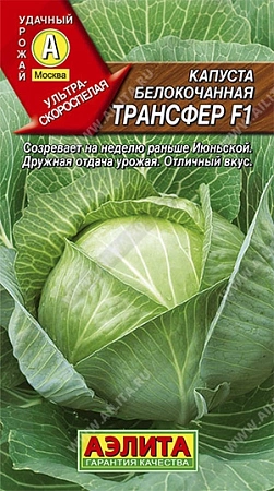 Капуста белокочанная Трансфер F1, 0,1 г (АЭЛИТА) Капуста белокочанная Трансфер F1, 0,1 г (АЭЛИТА)