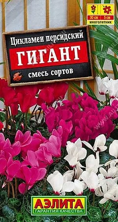 Цикламен персидский Гигант, смесь окрасок 3 шт (АЭЛИТА)