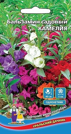 Бальзамин Камелия (УД) Бальзамин Камелия (УД)