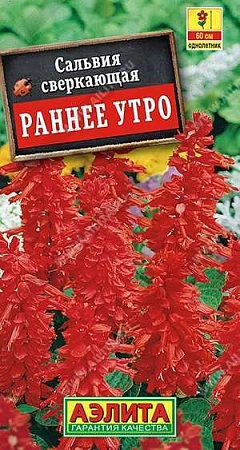 Сальвия Раннее утро, 0,1 г (Аэлита) Сальвия Раннее утро, 0,1 г (Аэлита)