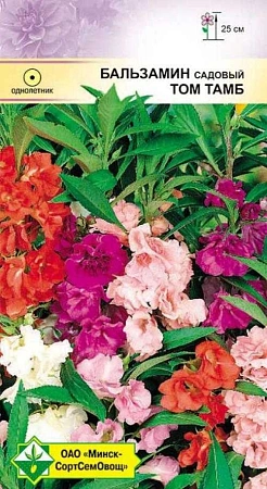 Бальзамин садовый Том Тамб, 0,5 г (МССО) Бальзамин садовый Том Тамб, 0,5 г (МССО)