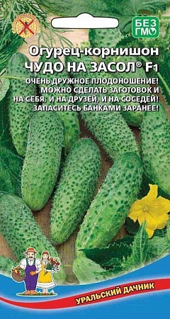 Огурец корнишон Чудо на засол F1, 10 шт (УД)