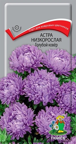 Астра низкорослая Голубой ковер 0,2 г Астра низкорослая Голубой ковер 0,2 г