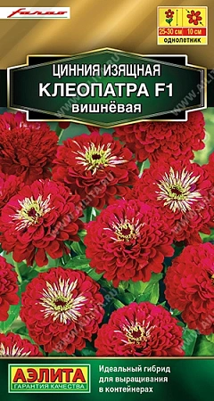 Цинния Клеопатра F1 вишневая, 12 шт (АЭЛИТА)