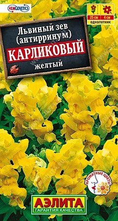 Львиный зев Карликовый желтый, 10 шт