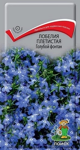 Лобелия плетистая Голубой фонтан 0,1 г (Поиск) Лобелия плетистая Голубой фонтан 0,1 г (Поиск)