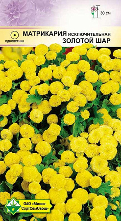 Матрикария исключительная Золотой шар, 0,1 г (МССО) Матрикария исключительная Золотой шар, 0,1 г (МССО)